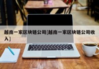 越南一家区块链公司[越南一家区块链公司收入]