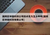 国网区块链科技公司技术实力怎么样啊[国网区块链科技有限公司]