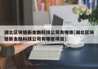 湖北区块链新金融科技公司有哪些[湖北区块链新金融科技公司有哪些项目]