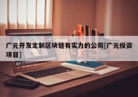 广元开发定制区块链有实力的公司[广元投资项目]